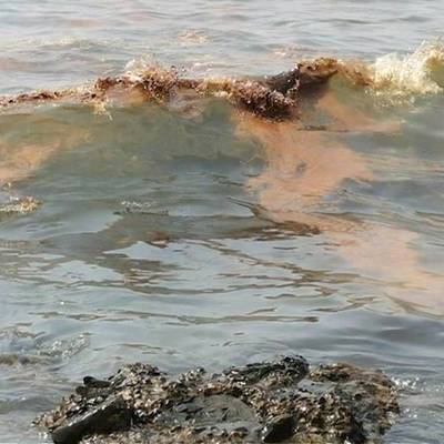 Роспотребнадзор не выявил превышения нормы нефтепродуктов в море под Новороссийском