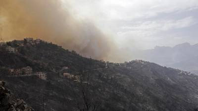 Стихийное бедствие на севере Алжира: десятки людей погибли в лесных пожарах