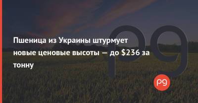 Пшеница из Украины штурмует новые ценовые высоты — до $236 за тонну