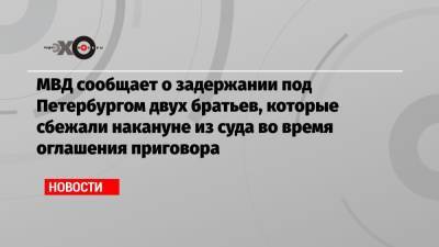 МВД сообщает о задержании под Петербургом двух братьев, которые сбежали накануне из суда во время оглашения приговора