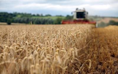 Украина нарастила экспорт агропродукции в ЕС