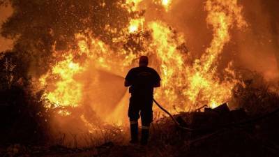 Изменение климата или поджигатели: Кто виноват в опустошительных лесных пожарах?