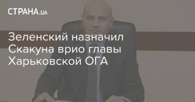 Владимир Зеленский - Айна Тимчук - Зеленский назначил Скакуна врио главы Харьковской ОГА - strana.ua - Украина - Харьковская обл. - Харьков