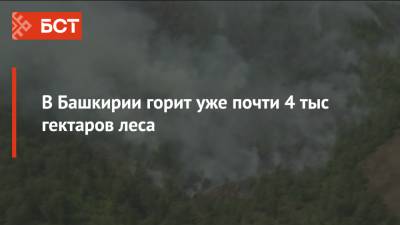 В Башкирии горит уже почти 4 тыс гектаров леса