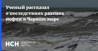 Ученый рассказал о последствиях разлива нефти в Черном море