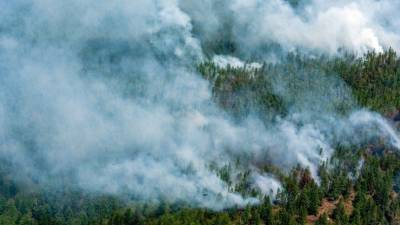 К борьбе с лесными пожарами в Башкирии присоединились промышленные предприятия