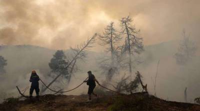 В Греции за поджоги лесов задержаны 118 человек