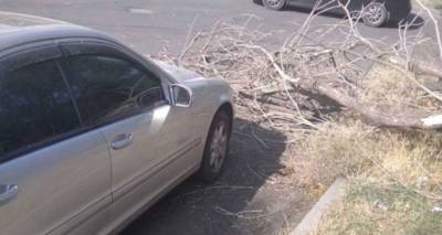 Сильный ветер в Ереване сорвал крыши домов и повредил деревья