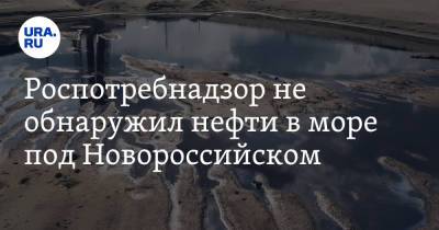 Роспотребнадзор не обнаружил нефти в море под Новороссийском