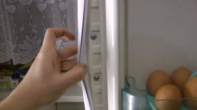 Реставрация уплотнительных резинок холодильника