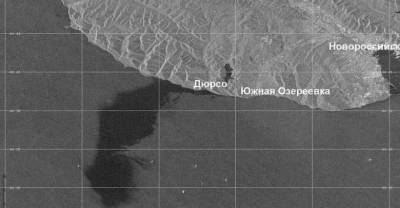 Глава Росприроднадзора: Снимки из космоса не доказывают большой объём разлива нефти под Новороссийском