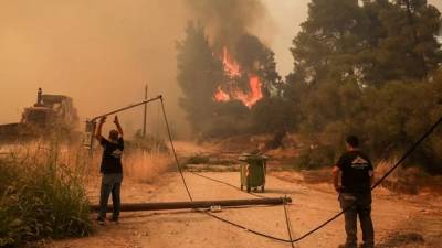Полиция Греции задержала 118 человек по делу о поджоге лесов
