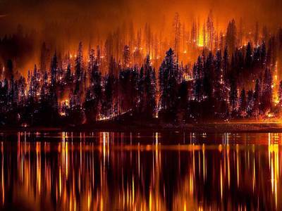 Крупнейший в истории Калифорнии лесной пожар уничтожил больше тысячи зданий