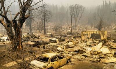 Площадь лесных пожаров в Калифорнии превысила 200 тысяч гектаров