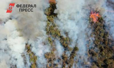 В Гидрометцентре назвали причину лесных пожаров в России
