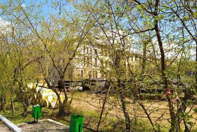 Мэрия Читы пообещала сохранить растения на аллее Горького на время ремонта теплотрассы