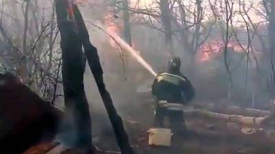 В ряде российских регионов борются с природными пожарами