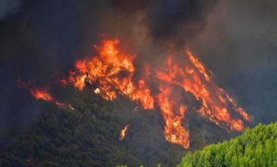 Масштабные пожары в Греции: полиция задержала за поджоги 118 человек