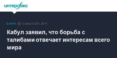 Кабул заявил, что борьба с талибами отвечает интересам всего мира