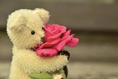Петрозаводчанка сбежала из цветочного магазина, прихватит розы и плюшевого медведя