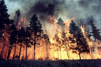 В Брянской области произошло 6 пожаров в минувшую среду