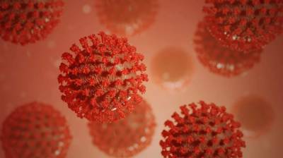 Названа новая уязвимость коронавируса