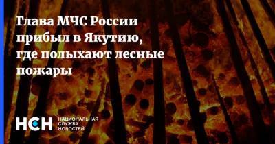 Глава МЧС России прибыл в Якутию, где полыхают лесные пожары