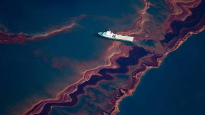 Эколог WWF оценил масштабы разлитой под Новороссийском нефти