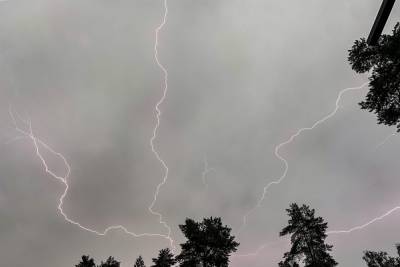 12 августа в Рязанской области выпустили метеопредупреждение из-за ливней с грозами