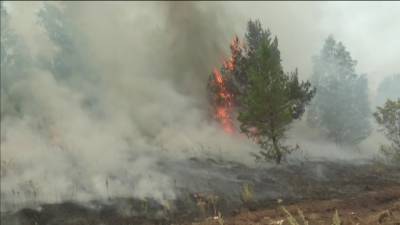 В Башкирии продолжают действовать 17 лесных пожаров