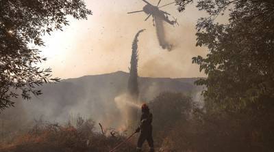 Пожары в Греции: почти 85 тысяч гектаров выжженной земли