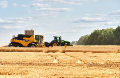 Урожайность пшеницы в ИМК на 25% выше средней по стране