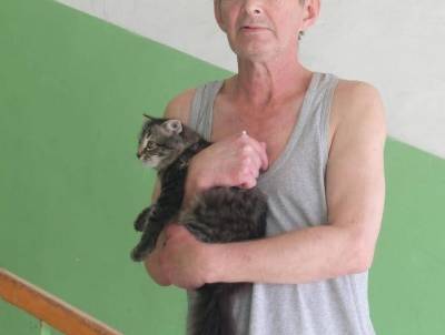 В курганском поселке мужчина зарезал кота своей подруги, добиваясь внимания женщины