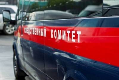 В Тверской области убийца нанес женщине 16 ударов ножом