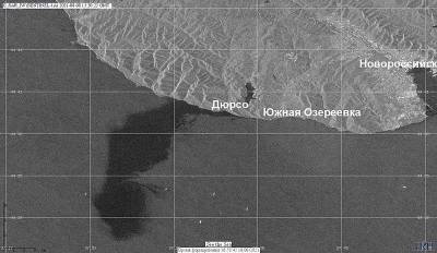 В Черном море произошла серьезная экологическая катастрофа: подробности и фото
