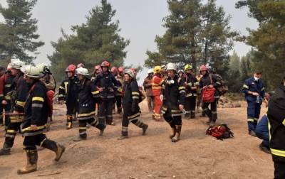 Украинские пожарные в Греции потушили два пожара