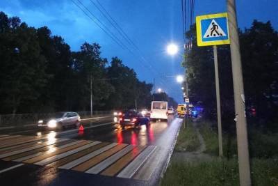 На Куйбышевском шоссе в Рязани Renault Duster на переходе сбил двух девочек
