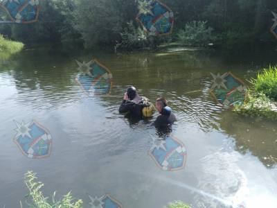 В Гатчинском районе из реки Ижора достали тело мужчины