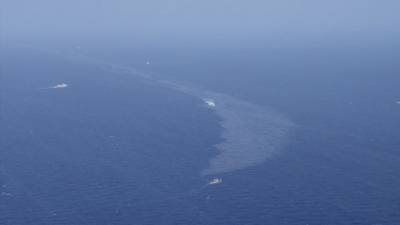 Утечка нефти в Черном море обеспокоила ученых и активистов