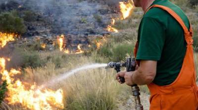 В Италии сообщили о первых жертвах лесных пожаров