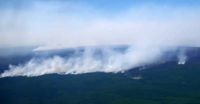 Климатолог РАН рассказал об опасности для Арктики дыма от лесных пожаров