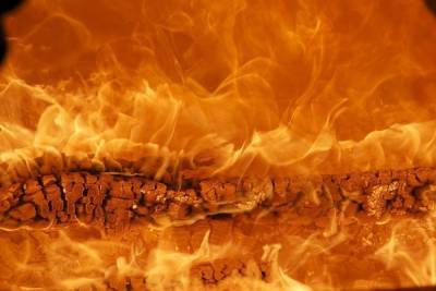 Баня и ангар сгорели в Псковской области за минувшие сутки