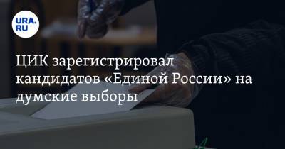 ЦИК зарегистрировал кандидатов «Единой России» на думские выборы