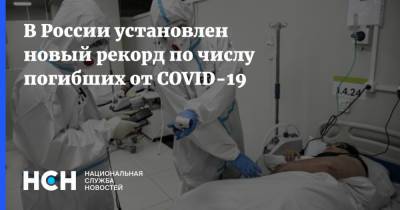 В России установлен новый рекорд по числу погибших от COVID-19
