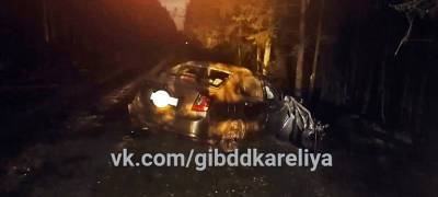 Водитель получил травмы, врезавшись в дерево на трассе в Карелии