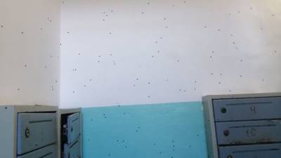 Жителей дома в Тюмени атаковали канализационные мушки