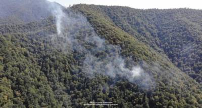 Пожар на востоке Грузии локализован