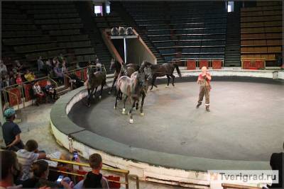 «И только лошади летают вдохновенно»: в Тверском цирке прошёл открытый урок для специальных гостей