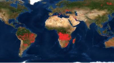 NASA опубликовало карту пожаров на Земле