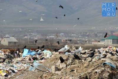 В Дагестане при федеральной поддержке создадут систему обращения с отходами